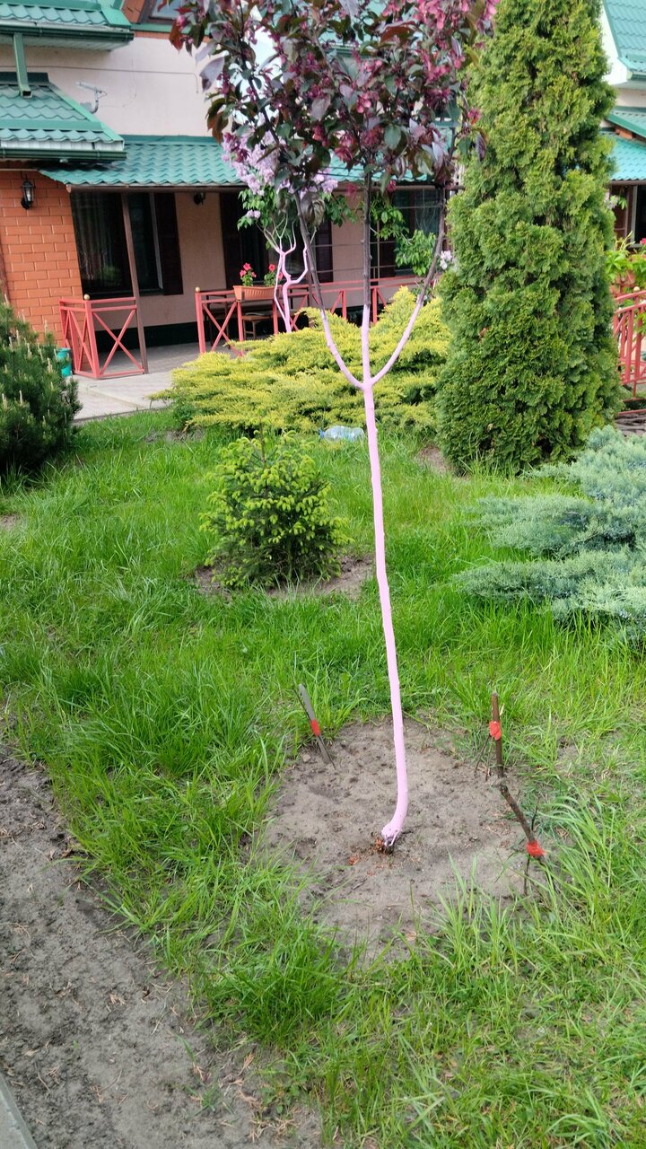 Гостиница Тольянка Россошь-178