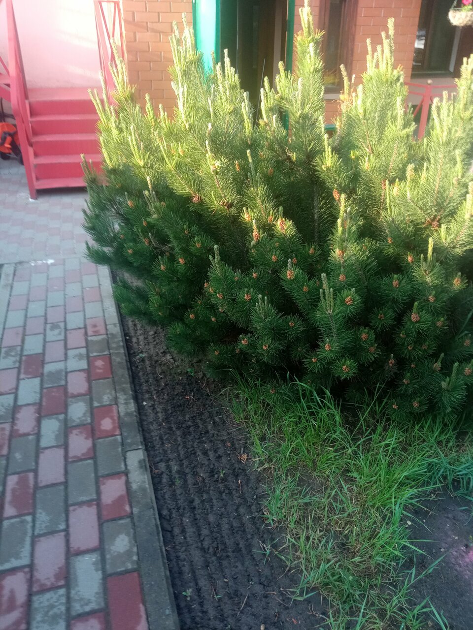 Гостиница Тольянка Россошь-147