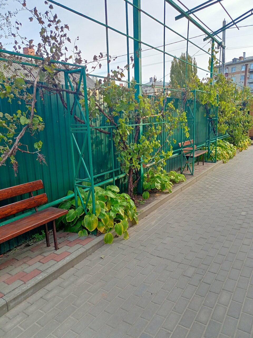 Гостиница Тольянка Россошь-169