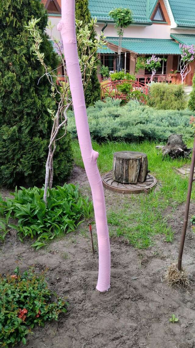 Гостиница Тольянка Россошь-150