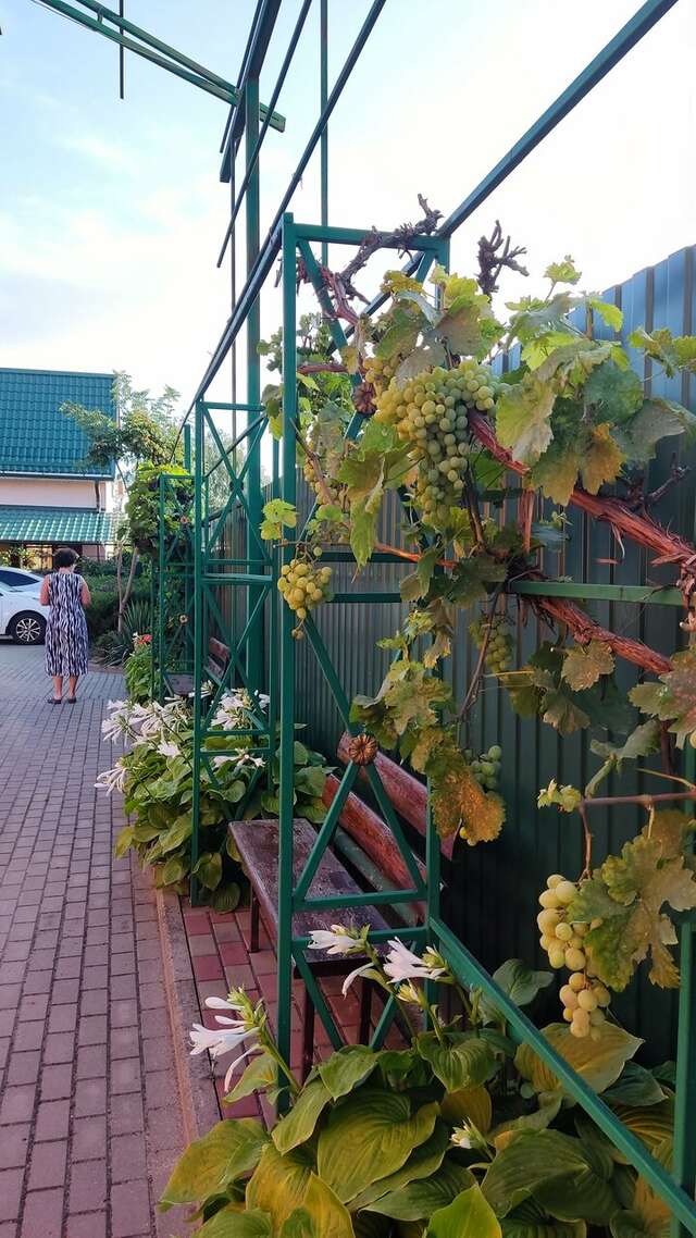 Гостиница Тольянка Россошь-139